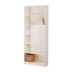 449billy book shelf.jpg